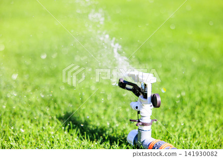 Lush green lawn and sprinkler watering on a sunny day Lush green lawn and sprinkler watering on a sunny day 141930082
