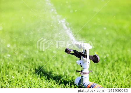 Lush green lawn and sprinkler watering on a sunny day Lush green lawn and sprinkler watering on a sunny day 141930083