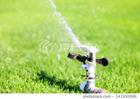 Lush green lawn and sprinkler watering on a sunny day Lush green lawn and sprinkler watering on a sunny day 141930084