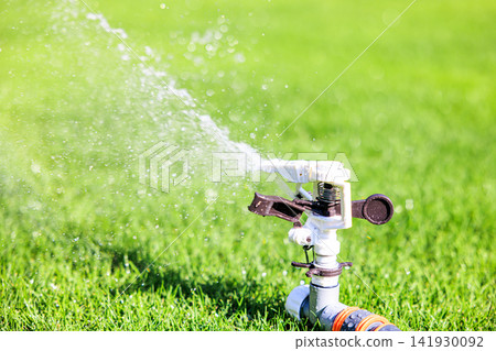 Lush green lawn and sprinkler watering on a sunny day Lush green lawn and sprinkler watering on a sunny day 141930092