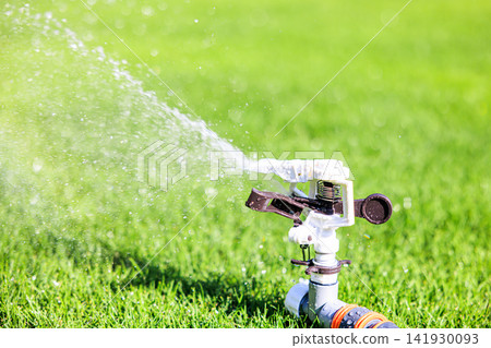 Lush green lawn and sprinkler watering on a sunny day Lush green lawn and sprinkler watering on a sunny day 141930093