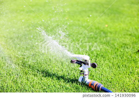 Lush green lawn and sprinkler watering on a sunny day Lush green lawn and sprinkler watering on a sunny day 141930096