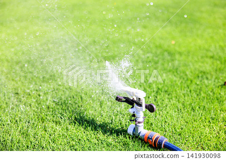 Lush green lawn and sprinkler watering on a sunny day Lush green lawn and sprinkler watering on a sunny day 141930098