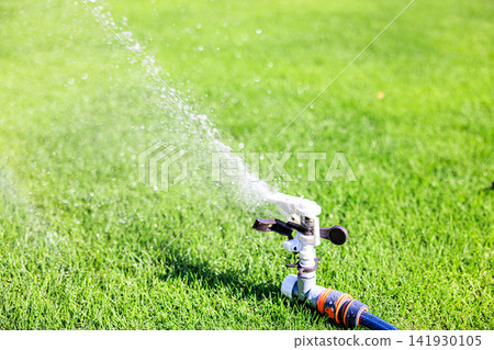 Lush green lawn and sprinkler watering on a sunny day Lush green lawn and sprinkler watering on a sunny day 141930105