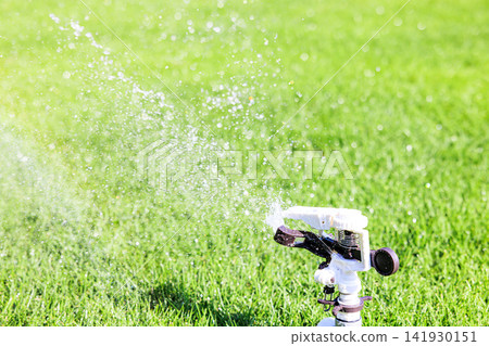 Lush green lawn and sprinkler watering on a sunny day Lush green lawn and sprinkler watering on a sunny day 141930151