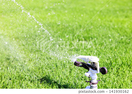 Lush green lawn and sprinkler watering on a sunny day Lush green lawn and sprinkler watering on a sunny day 141930162