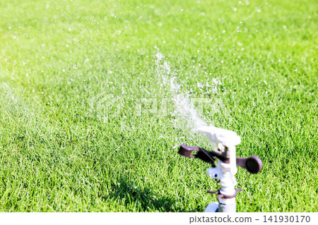 Lush green lawn and sprinkler watering on a sunny day Lush green lawn and sprinkler watering on a sunny day 141930170