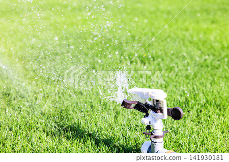 Lush green lawn and sprinkler watering on a sunny day Lush green lawn and sprinkler watering on a sunny day 141930181