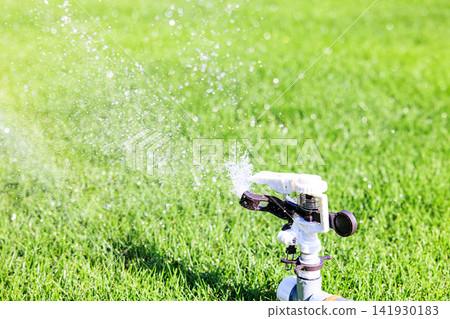 Lush green lawn and sprinkler watering on a sunny day Lush green lawn and sprinkler watering on a sunny day 141930183