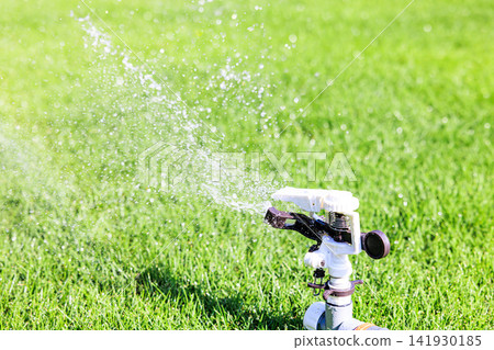 Lush green lawn and sprinkler watering on a sunny day Lush green lawn and sprinkler watering on a sunny day 141930185