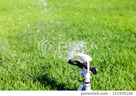 Lush green lawn and sprinkler watering on a sunny day Lush green lawn and sprinkler watering on a sunny day 141930188