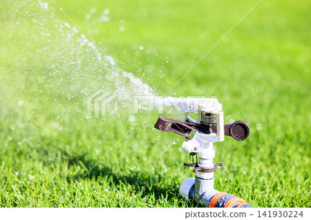 Lush green lawn and sprinkler watering on a sunny day Lush green lawn and sprinkler watering on a sunny day 141930224