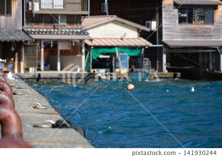 京都府伊根町平田市 - 海鷗 京都府伊根町平田市 - 海鷗 141930244