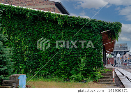Historic brick railway building covered in lush green ivy next to train tracks Historic brick railway building covered in lush green ivy next to train tracks 141930871