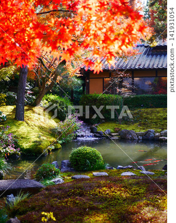 池塘在花園和秋天的落葉 池塘在花園和秋天的落葉 141931054