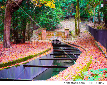 Leaf-covered waterway and stone arch tunnel Leaf-covered waterway and stone arch tunnel 141931057
