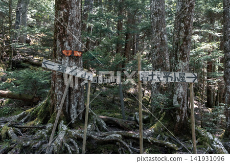 通往水垣山和富士見平的路標 通往水垣山和富士見平的路標 141931096