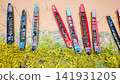 Aerial view of colorful wooden traditional longtail boats moored near the muddy riverbank with green yellowish grass vegetation 141931205