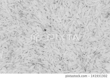 beautiful texture ripe of natural rice grain on background beautiful texture ripe of natural rice grain on background 141931302