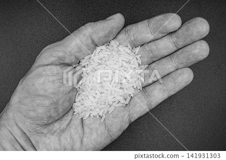 beautiful texture ripe of natural rice grain on background beautiful texture ripe of natural rice grain on background 141931303