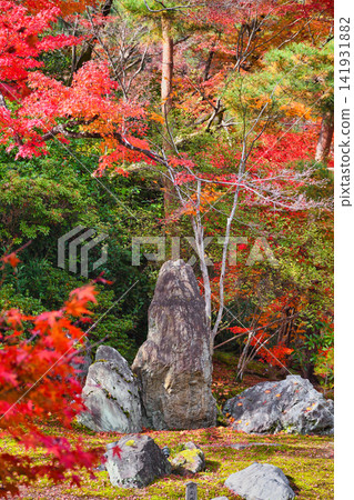 Kyoto, Hogon-in Temple, Shishiku Garden: Autumn foliage of maple trees and the Three Buddha Stones (Ukyo-ku, Kyoto City, Kyoto Prefecture) Kyoto, Hogon-in Temple, Shishiku Garden: Autumn foliage of maple trees and the Three Buddha Stones (Ukyo-ku, Kyoto City, Kyoto Prefecture) 141931882