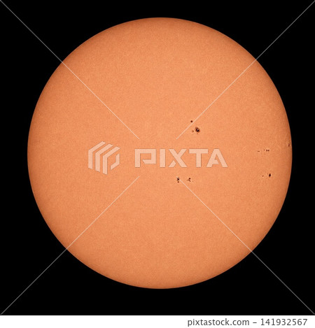 Sun Sun 141932567