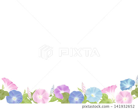 Morning glory with blue and pink frame Morning glory with blue and pink frame 141932652