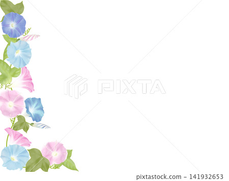 Morning glory, blue-pink vertical frame Morning glory, blue-pink vertical frame 141932653