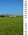 I took the Shinkansen to Niigata during the Obon holiday. 141932864
