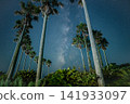 The Milky Way stretches between the palm trees, the starry sky at the campsite. 141933097