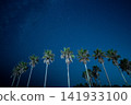 The silhouette of palm trees looking up and a sky full of stars 141933100