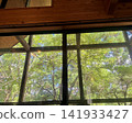 "The summer greenery viewed from the large windows of the wooden lodge" 141933427