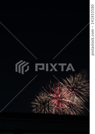 Large fireworks coloring the summer night sky Large fireworks coloring the summer night sky 141933580