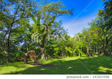 [Kanagawa Prefecture] Koboyama Park to the summit of Mt. Asama 141933590
