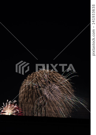大型煙花在夜空中盛開 大型煙花在夜空中盛開 141933638