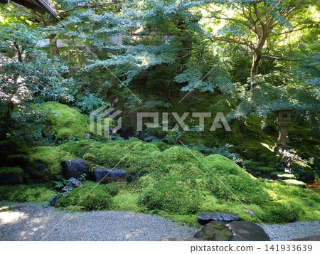 Kyoto, Rurikoin Temple, Garden, Autumn Kyoto, Rurikoin Temple, Garden, Autumn 141933639