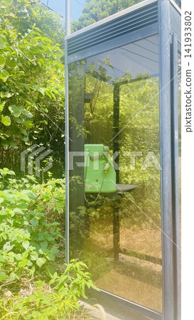 A public telephone booth surrounded by greenery A public telephone booth surrounded by greenery 141933802