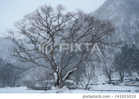 Gunma Prefecture, Minakami Town, near Yubiso Park Gunma Prefecture, Minakami Town, near Yubiso Park 141933819