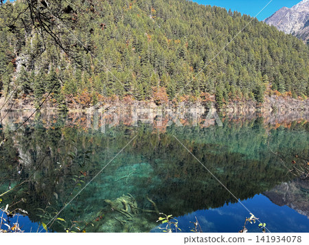 Forest Reflection And Submerged Wood In Mirror Lake Jiuzhaigou National Park 141934078