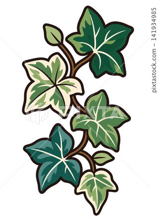 set of hand drawn colored leaves set of hand drawn colored leaves 141934985