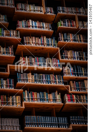 The bookshelf theater and the awe-inspiring gigantic bookshelves at the Kadokawa Musashino Museum The bookshelf theater and the awe-inspiring gigantic bookshelves at the Kadokawa Musashino Museum 141935467