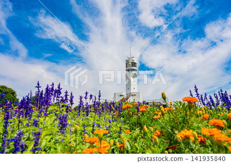The white Yokohama Port Symbol Tower stands out against the clear summer sky, and the blue sky above the lawn area is a beautiful sight. The white Yokohama Port Symbol Tower stands out against the clear summer sky, and the blue sky above the lawn area is a beautiful sight. 141935840