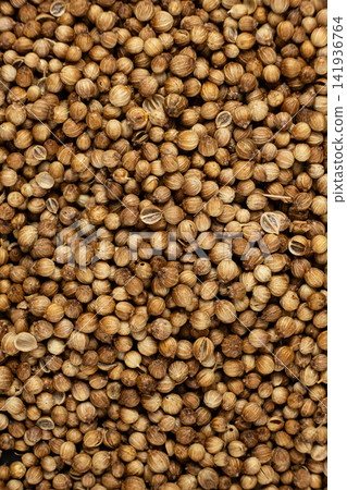 Dried cilantro seeds pattern for herbal season ingredients and store catalog Dried cilantro seeds pattern for herbal season ingredients and store catalog 141936764