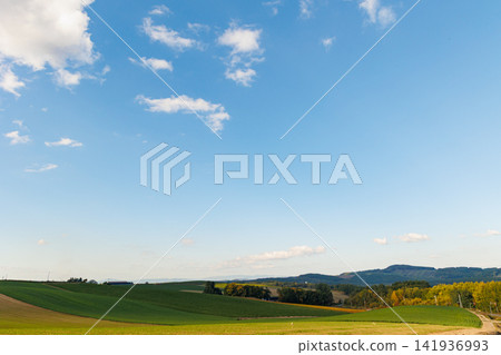 The hills of Biei under a clear blue sky (Autumn in Hokkaido) The hills of Biei under a clear blue sky (Autumn in Hokkaido) 141936993