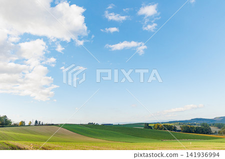 The hills of Biei under a clear blue sky (Autumn in Hokkaido) The hills of Biei under a clear blue sky (Autumn in Hokkaido) 141936994