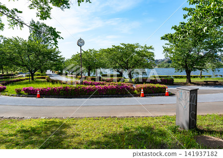 茨城縣水戶市千波湖步道 茨城縣水戶市千波湖步道 141937182
