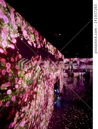 Arte Museum Busan's fantastical floral digital art | A beautiful visual space for your trip to Korea Arte Museum Busan's fantastical floral digital art | A beautiful visual space for your trip to Korea 141937263