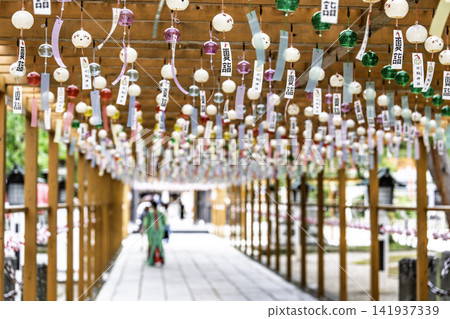 Summer Takekoma Shrine: Wind chimes on the approach to the shrine, summer pilgrimage, Iwanuma City, Miyagi Prefecture Summer Takekoma Shrine: Wind chimes on the approach to the shrine, summer pilgrimage, Iwanuma City, Miyagi Prefecture 141937339