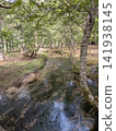 Landscape with Brooks 141938145
