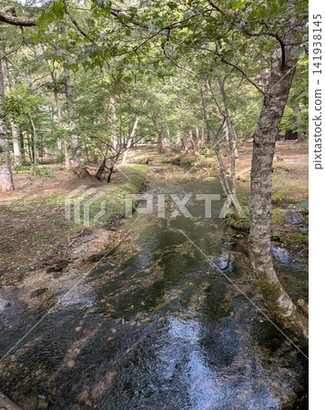 Landscape with Brooks Landscape with Brooks 141938145